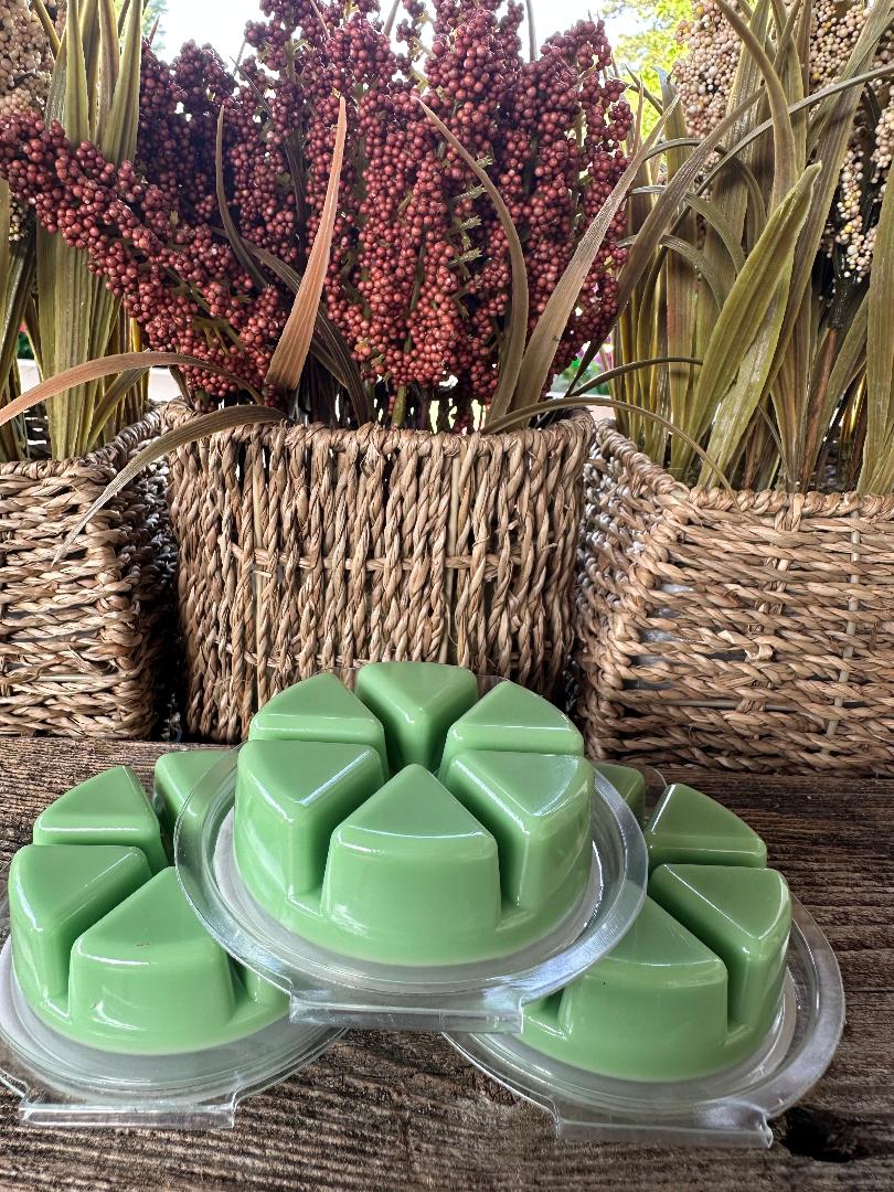 Aloe & Water Cucumber